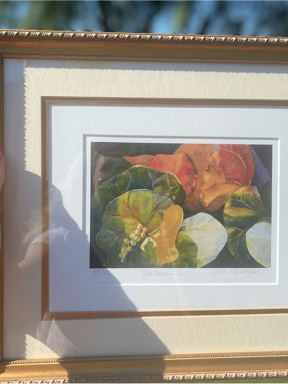 Framed Sea Grape Botanical Art Print – Multicolor numbered & signed by FL artist